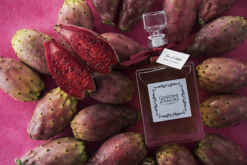 Il liquore ai fichi d’India è realizzato partendo dall’estrazione - e dal successivo filtraggio manuale - della polpa dei migliori fichi d’India rossi di propria produzione. Ha un bouquet delicato ed elegante e un gusto dolce, fresco e persistente.